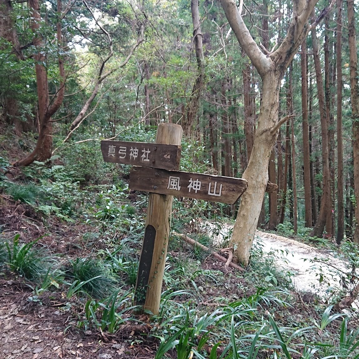 写真の説明を入れます